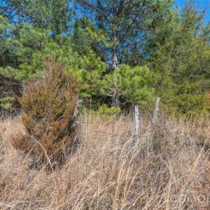 Photo #20 of Cemetery, Fort Lawn, SC