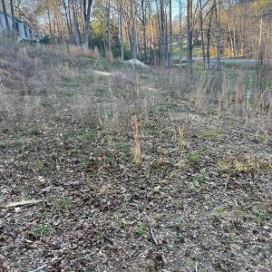 Photo #4 of 2873 Brookridge, Rock Hill, SC