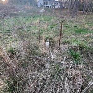 Photo #5 of 2873 Brookridge, Rock Hill, SC