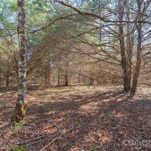 Photo #9 of Cemetery, Fort Lawn, SC