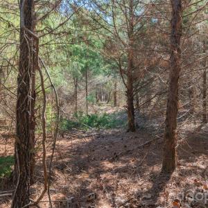 Photo #12 of Cemetery, Fort Lawn, SC