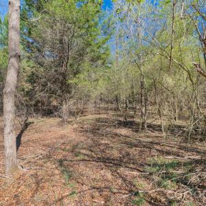 Photo #14 of Cemetery, Fort Lawn, SC
