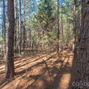 Photo #23 of Cemetery, Fort Lawn, SC
