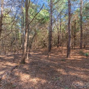 Photo #20 of Cemetery, Fort Lawn, SC