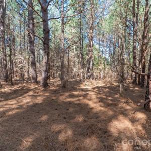 Photo #15 of Cemetery, Fort Lawn, SC