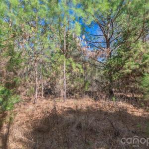 Photo #11 of Cemetery, Fort Lawn, SC