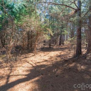 Photo #19 of Cemetery, Fort Lawn, SC