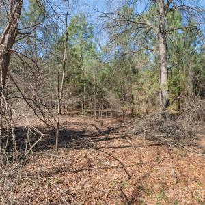 Photo #18 of Cemetery, Fort Lawn, SC
