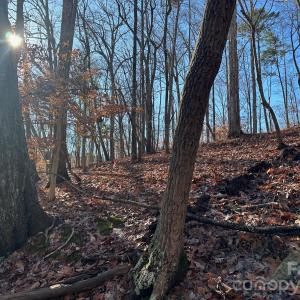 Photo #4 of Lot 79 Tealwood, Norwood, NC