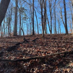 Photo #3 of Lot 79 Tealwood, Norwood, NC