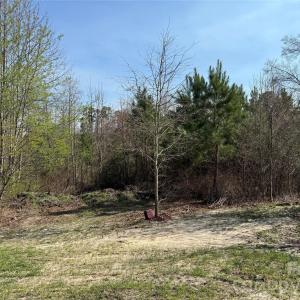 Photo #16 of 300 McCall, Ellerbe, NC