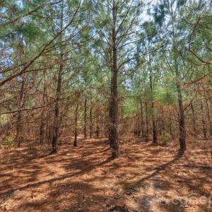 Photo #21 of 931 Charlie Johnson, Kershaw, SC