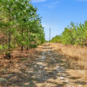 Photo #12 of 931 Charlie Johnson, Kershaw, SC