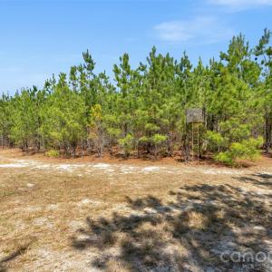 Photo #25 of 931 Charlie Johnson, Kershaw, SC