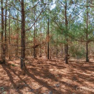 Photo #28 of 931 Charlie Johnson, Kershaw, SC