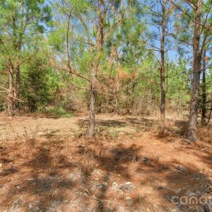 Photo #30 of 931 Charlie Johnson, Kershaw, SC