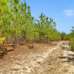 Photo #7 of 931 Charlie Johnson, Kershaw, SC