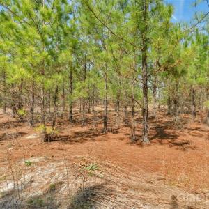 Photo #18 of 931 Charlie Johnson, Kershaw, SC