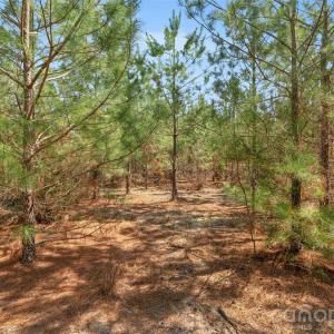 Photo #32 of 931 Charlie Johnson, Kershaw, SC