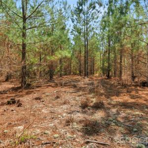 Photo #29 of 931 Charlie Johnson, Kershaw, SC