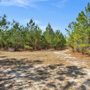 Photo #24 of 931 Charlie Johnson, Kershaw, SC