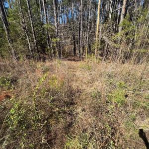 Photo #18 of 1802 Goings, Chester, SC