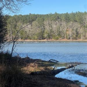 Photo #5 of 1802 Goings, Chester, SC