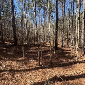 Photo #2 of 1802 Goings, Chester, SC