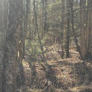 Photo #16 of 1802 Goings, Chester, SC