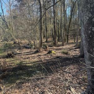 Photo #3 of 1802 Goings, Chester, SC