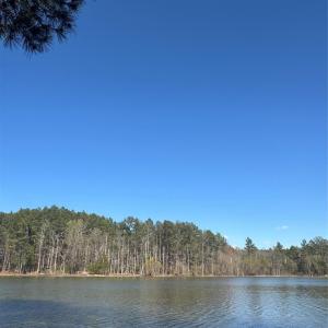 Photo #8 of 1802 Goings, Chester, SC