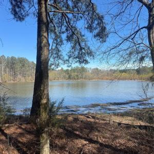 Photo #9 of 1802 Goings, Chester, SC