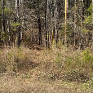 Photo #2 of 1802 Goings, Chester, SC