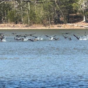 Photo #6 of 1802 Goings, Chester, SC