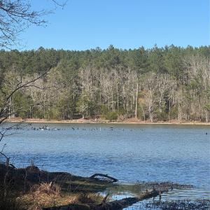 Photo #11 of 1802 Goings, Chester, SC