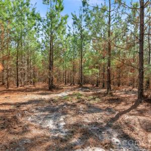 Photo #21 of 931 Charlie Johnson, Kershaw, SC