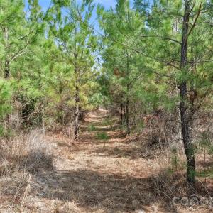 Photo #26 of 931 Charlie Johnson, Kershaw, SC