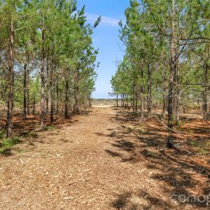 Photo #13 of 931 Charlie Johnson, Kershaw, SC