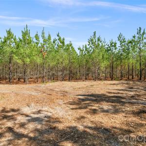 Photo #6 of 931 Charlie Johnson, Kershaw, SC