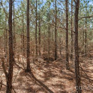 Photo #18 of 931 Charlie Johnson, Kershaw, SC