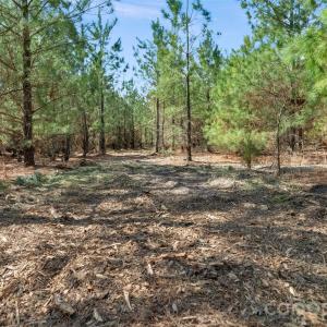 Photo #7 of 931 Charlie Johnson, Kershaw, SC