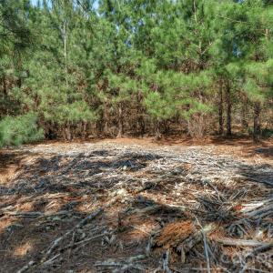 Photo #22 of 931 Charlie Johnson, Kershaw, SC