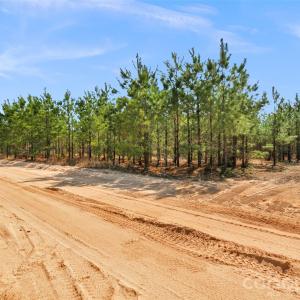 Photo #5 of 931 Charlie Johnson, Kershaw, SC