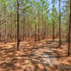 Photo #20 of 931 Charlie Johnson, Kershaw, SC