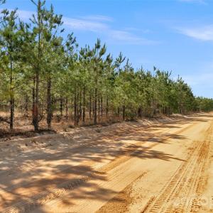 Photo #4 of 931 Charlie Johnson, Kershaw, SC