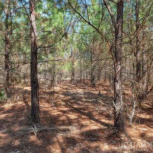 Photo #17 of 931 Charlie Johnson, Kershaw, SC