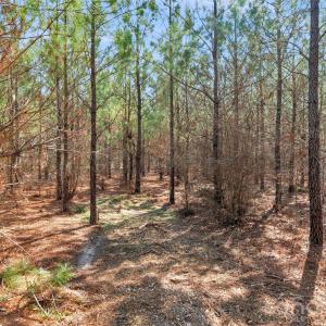 Photo #19 of 931 Charlie Johnson, Kershaw, SC