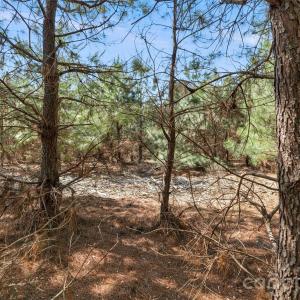 Photo #16 of 931 Charlie Johnson, Kershaw, SC