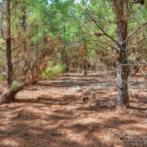 Photo #27 of 931 Charlie Johnson, Kershaw, SC