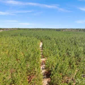 Photo #8 of 931 Charlie Johnson, Kershaw, SC